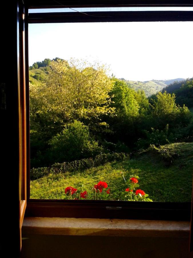 Agriturismo Il Casale Pica Posta Exterior foto