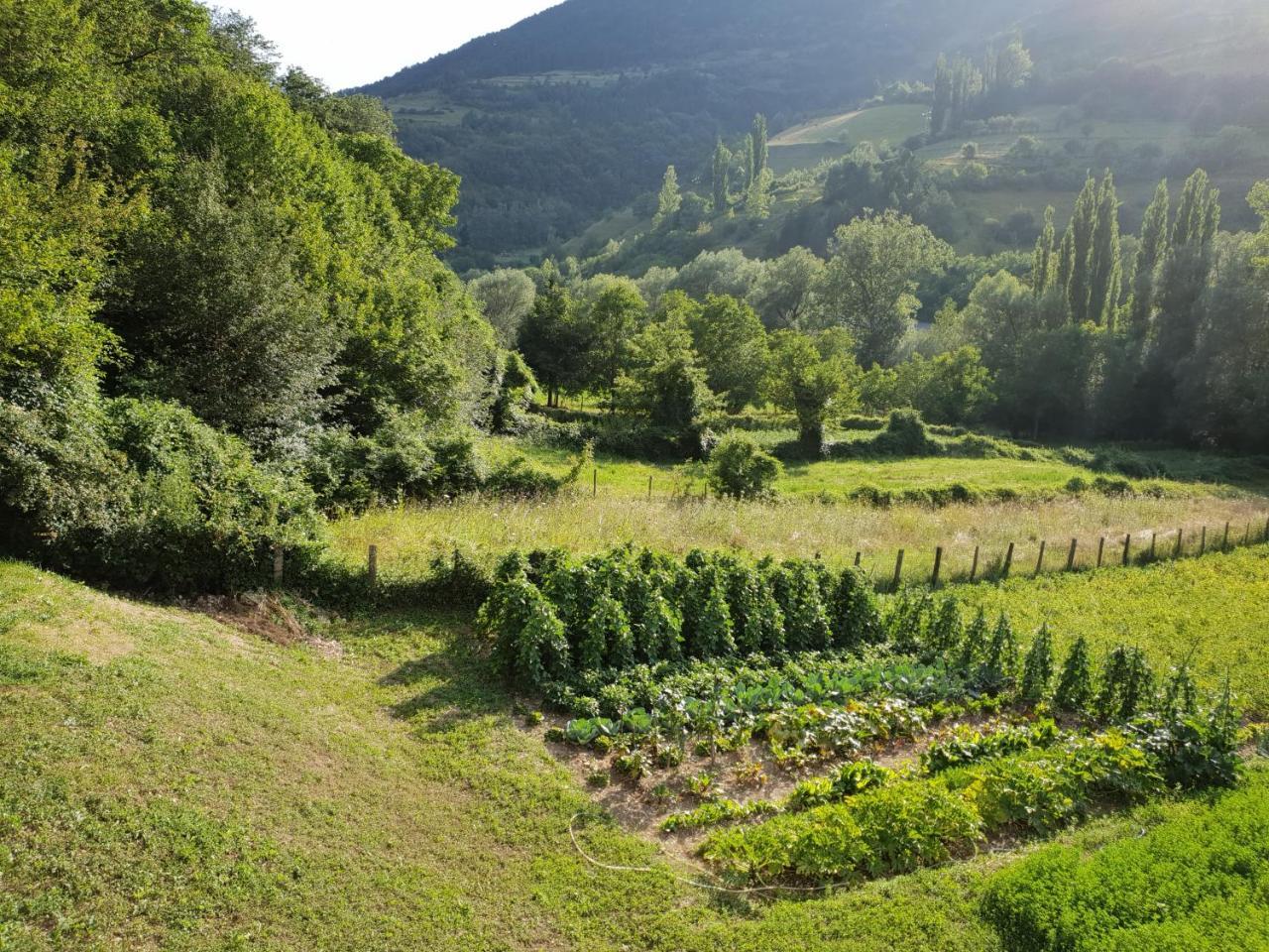 Villa Agriturismo Il Casale Pica Posta Exterior foto